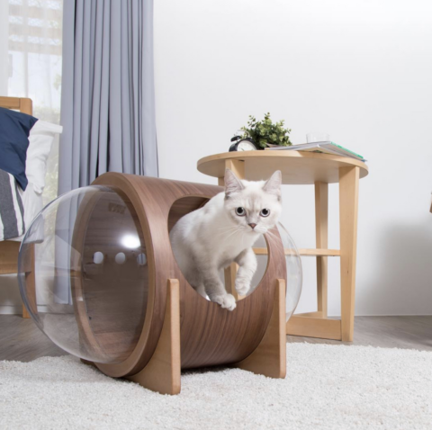 Spaceship Alpha Ultra Modern Cat Bed