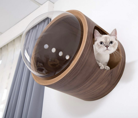 Spaceship Gamma Ultra Modern Cat Bed or Wall Mounted Bed