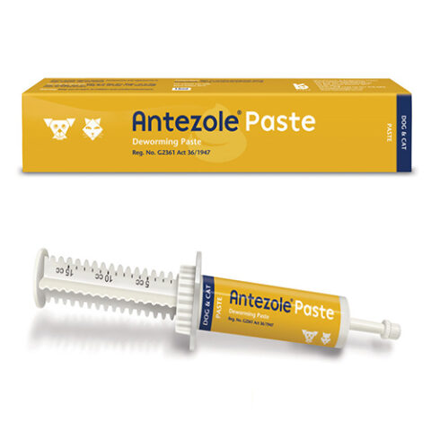 "Antezole Paste For Cats & Dogs 30 Ml"