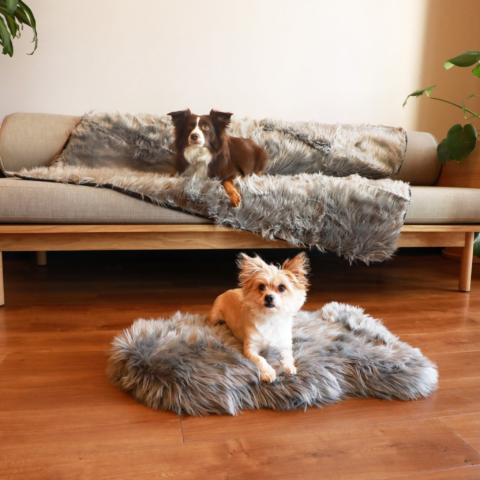 PupRug Orthopedic Bed + Matching Waterproof Blanket Bundle – Charcoal Grey