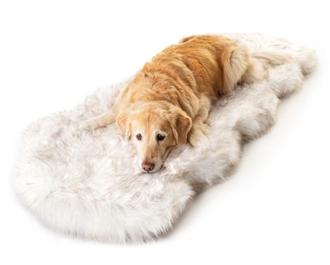 PupRug Runner Faux Fur Memory Foam Dog Bed Cover – Curve White with Brown Accents (Bed Not Included)
