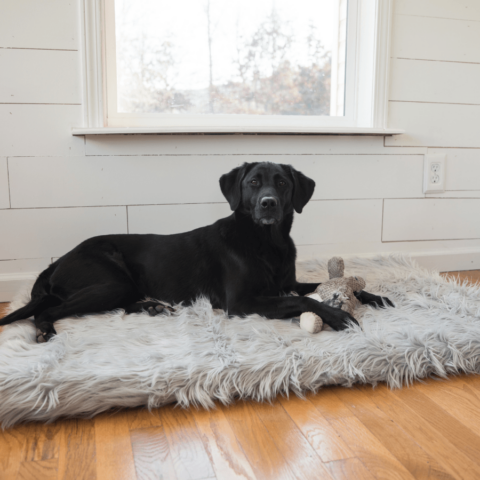 PupRug by Paw. com Faux Fur Orthopedic Dog Bed – Rectangle Grey