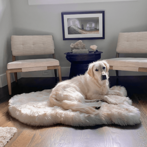 PupRug by Paw. com Faux Fur Orthopedic Dog Bed – Curve White with Brown Accents