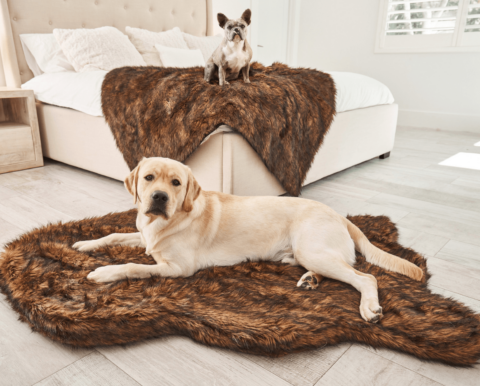 PupRug Orthopedic Bed + Matching Waterproof Blanket Bundle – Brown