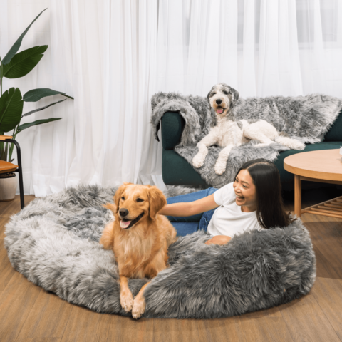 PupCloud Human-Size Dog Bed + Matching Waterproof Blanket Bundle – Charcoal Grey
