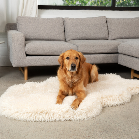 PupRug Luxe Faux Fur Orthopedic Dog Bed – Plush Sheep Ivory