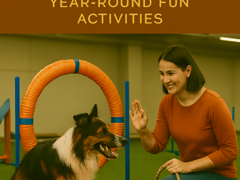 Indoor Dog Agility Near Me: Year-Round Fun Activities