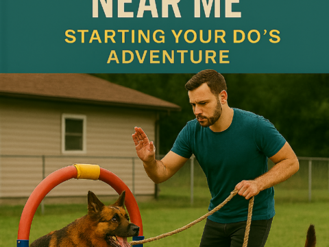Beginner Dog Agility Classes Near Me: Starting Your Dog’s Adventure