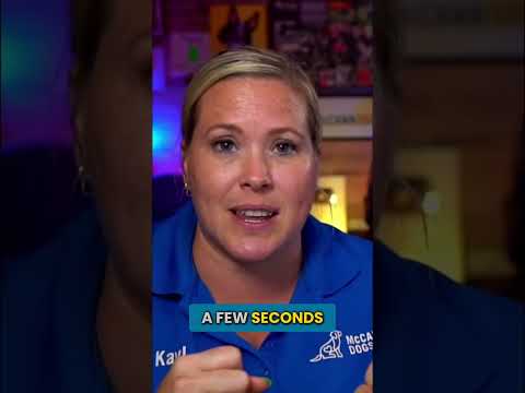 Does Your Dog Refuse To Drop Toys?