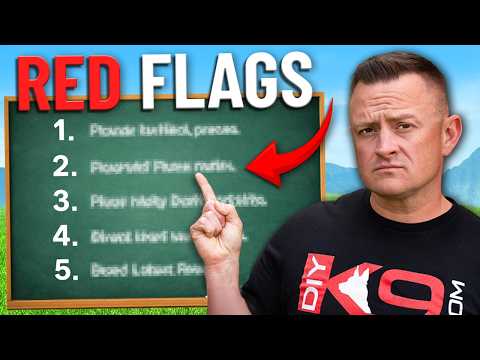 Why MOST Dog Trainers SUCK!