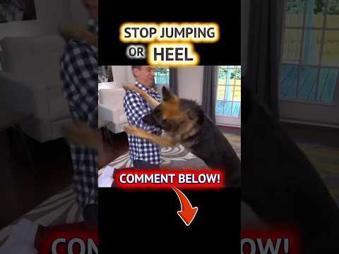 What’s Your Problem?