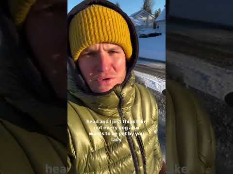 He is MY dog, not yours 😤