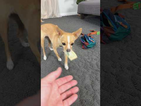 You’ve got to pick a pocket or two