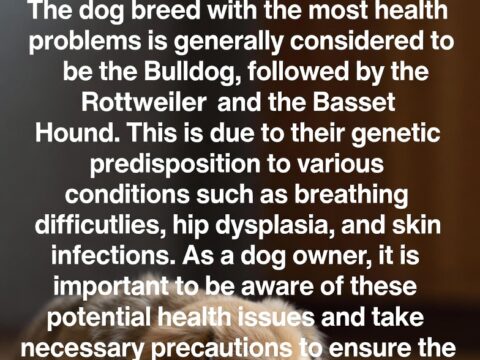 What Dog Breed Has the Most Health Problems: Insights for Owners