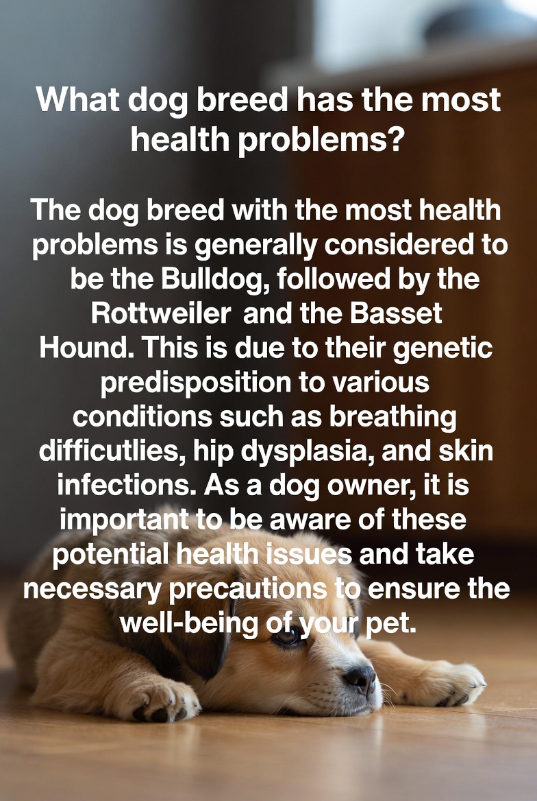What Dog Breed Has the Most Health Problems: Insights for Owners
