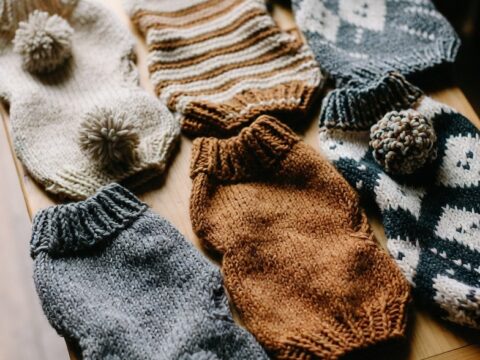 Dog Sweaters: Cozy Knits for Cold Weather
