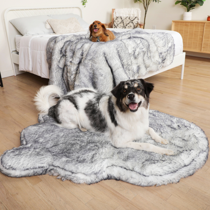 PupRug Luxe Orthopedic Bed + Matching Waterproof Blanket Bundle – Ultra Plush Arctic Fox