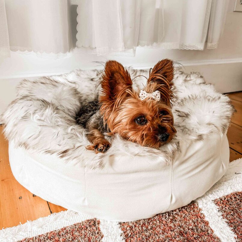 PupPouf Faux Fur Donut Dog Bed – White with Brown Accents