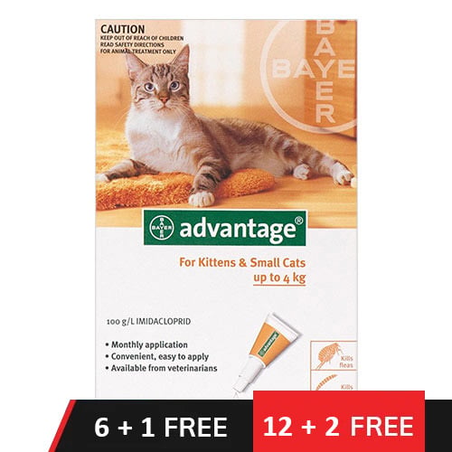 Advantage Kittens & Small Cats 1-10lbs 12 Doses Buy 12 – Get 2 Free