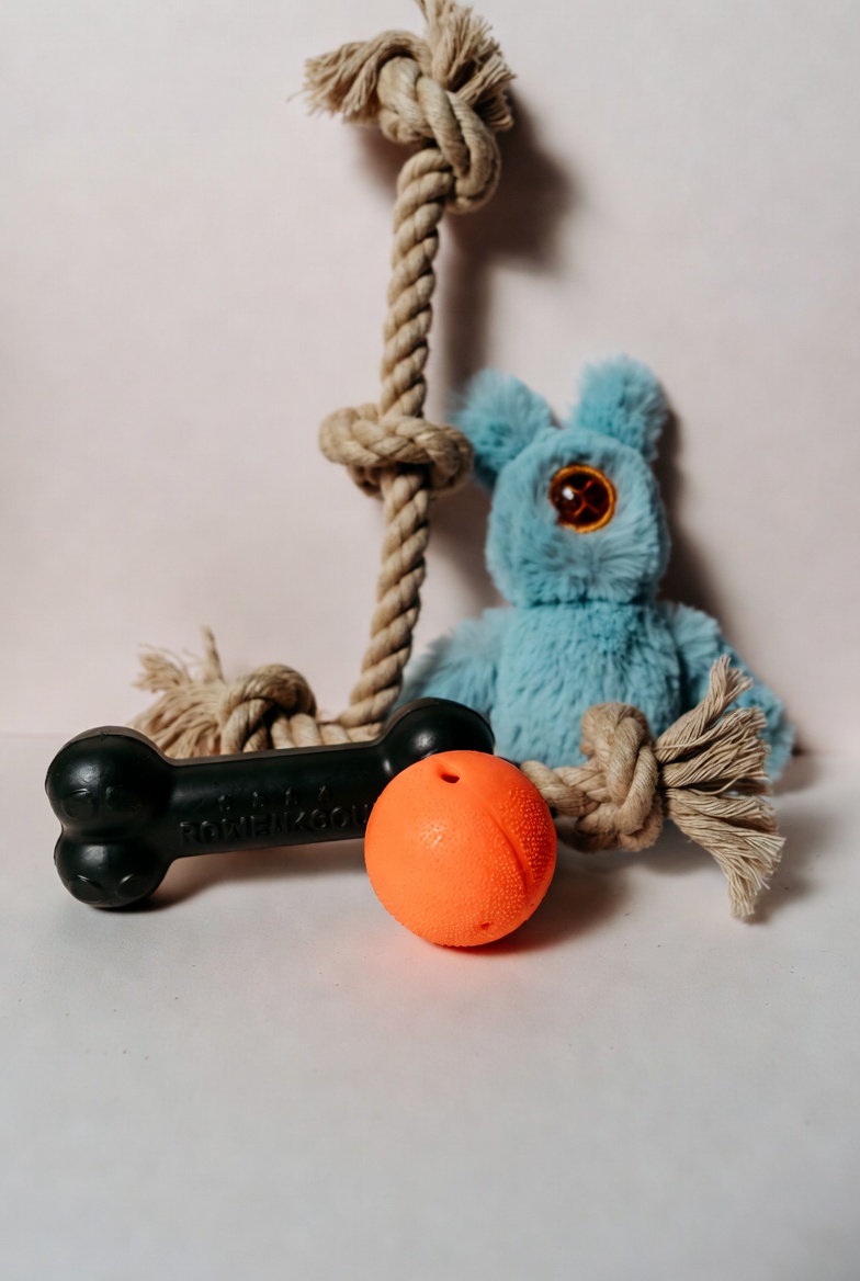 Indestructible Dog Toys: Tough Choices for Heavy Chewers