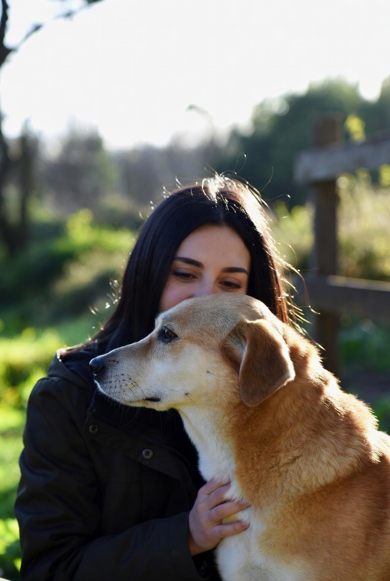 Dog Sitter: Finding Trustworthy Care for Your Pup